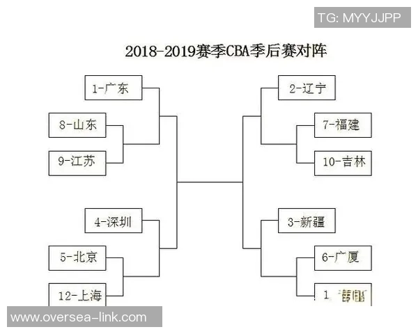 CBA球队实力对比及冠军争夺预测